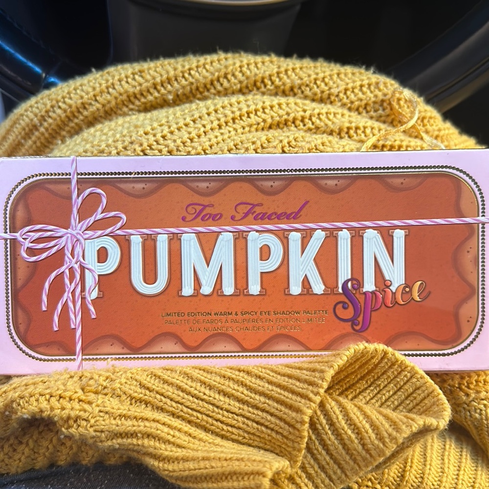 Too Faced Pumpkin Spice Eye Shadow Palette NEW